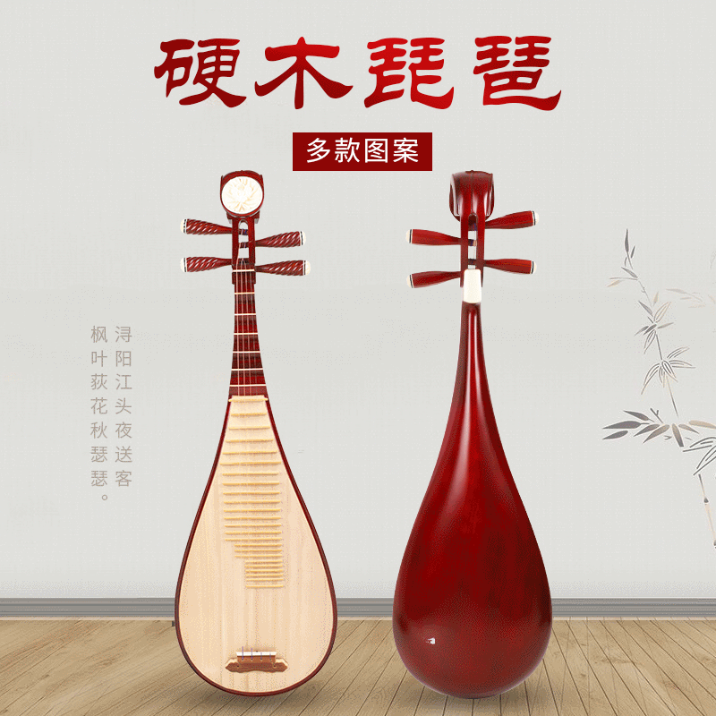 五弦琵琶初学教学乐器送配件练习琴硬木红木轴刻花琵琶